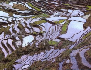 Оризовите тераси в Банауе 