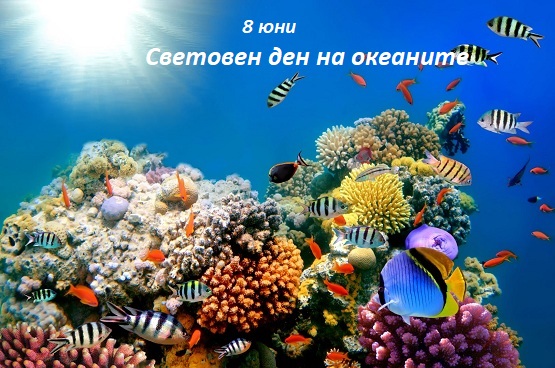 8 юни – Световен ден на океаните